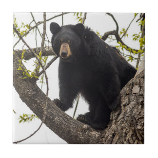 Kletternder schwarzer Bär Fliese