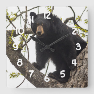 Kletternder schwarzer Bär Quadratische Wanduhr