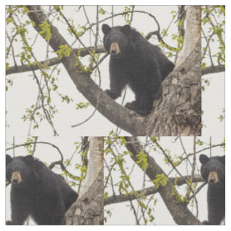 Kletternder schwarzer Bär Stoff