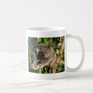 Kletterndes Koala.jpg Kaffeetasse