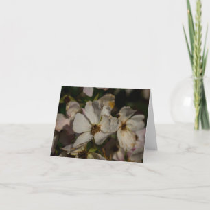 Kletterrose Dankeskarte