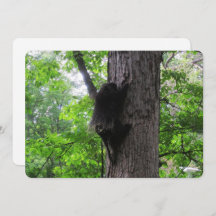 Klettersteig Holiday Card