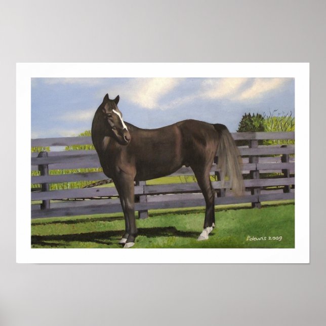 KLICKEN POSTER (Vorne)