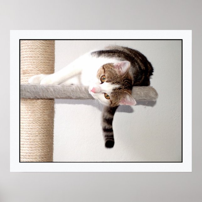 Klifferhänger Poster (Vorne)