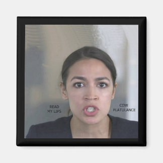 KLIMAÄNDERUNGEN MAGNET