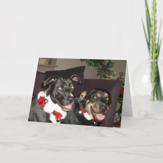 Klingel-Hunde Feiertagskarte