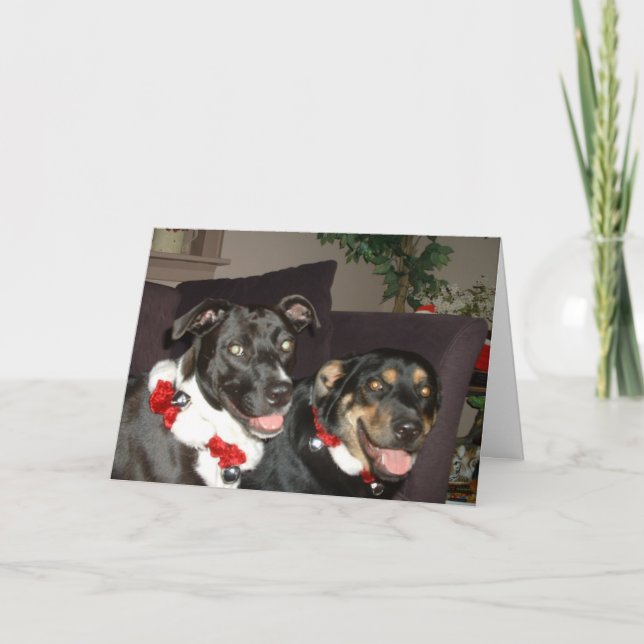 Klingel-Hunde Feiertagskarte (Vorderseite)