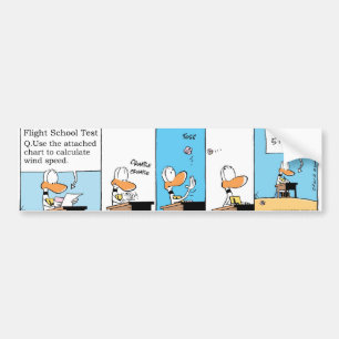 Klingeln-Enten-Flug-Theorie-Klasse Autoaufkleber