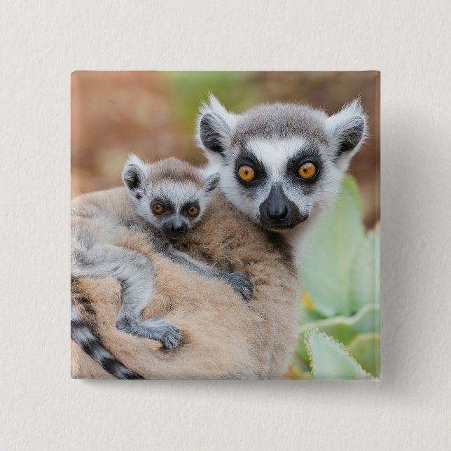 Klingelschwanz auf dem Rücken der Mutter Button (Vorderseite)