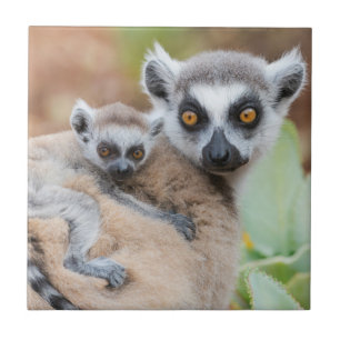 Klingelschwanz auf dem Rücken der Mutter Fliese