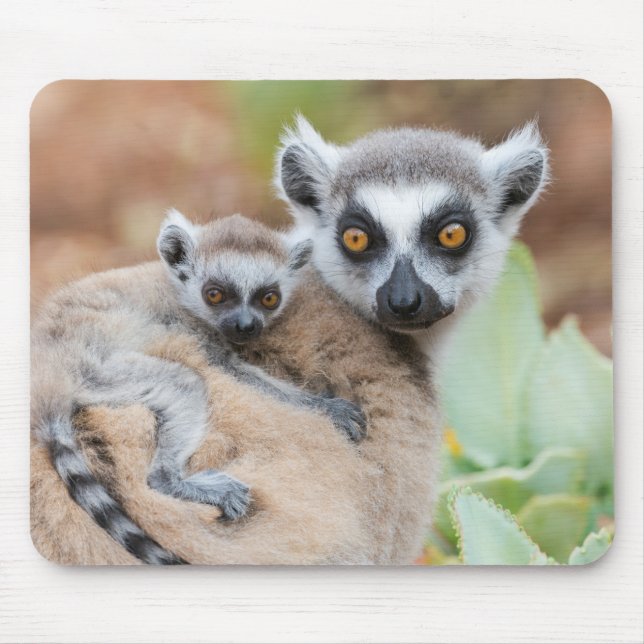 Klingelschwanz auf dem Rücken der Mutter Mousepad (Vorne)
