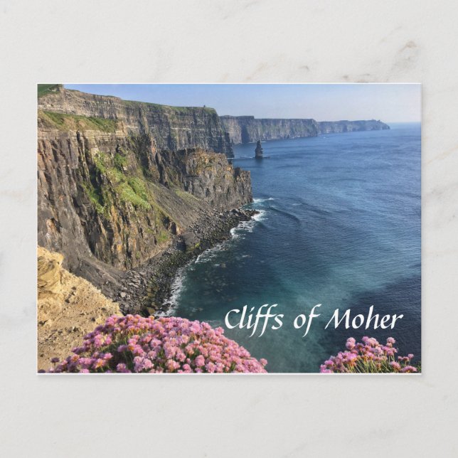Klippen von Moher, Irland, Blume, Postkarte (Vorderseite)