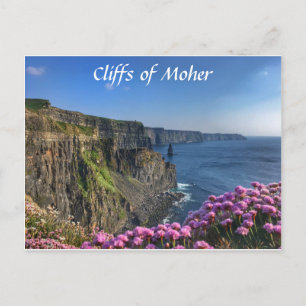 Klippen von Moher, Irland, Blume Postkarte