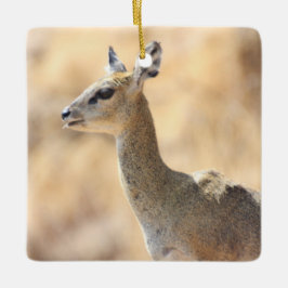 Klipspringer Keramikornament