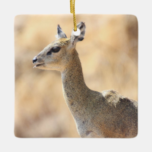 Klipspringer Keramikornament (Vorderseite)