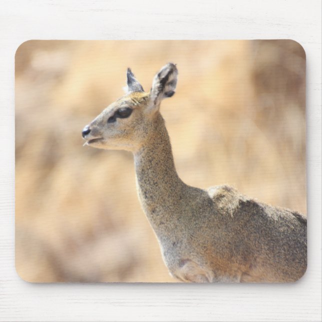 Klipspringer Mousepad (Vorne)