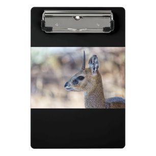 Klipspringer Portrait Mini Klemmbrett