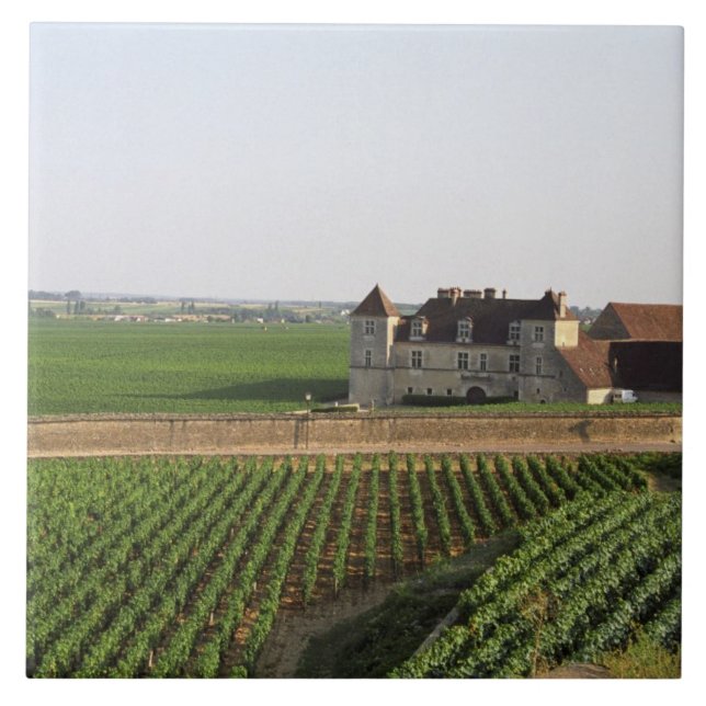 Kloster Clos de Vougeot aus dem 16. Jahrhundert un Fliese (Vorderseite)
