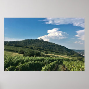 Kloster und Weinberg Poster