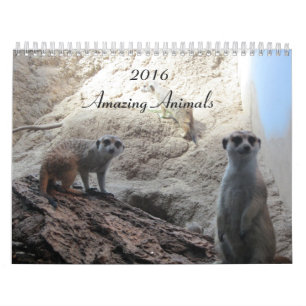 Klug Tiere Kalender