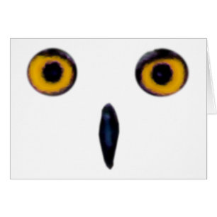Kluge alte Eulen-Augen