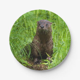 Kluger Fluss-Otter Pappteller