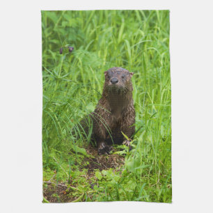 Kluger Flussotter Geschirrtuch