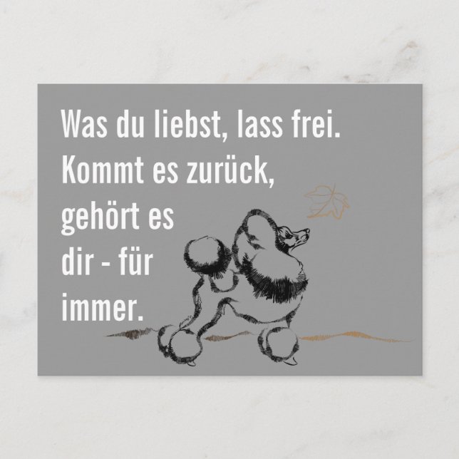 Kluger Pudel Postkarte (Vorderseite)