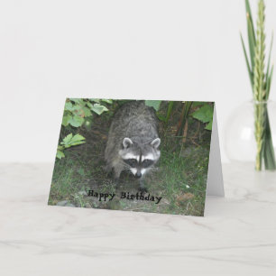 Kluges Waschbär-Geburtstagsgruß Karte