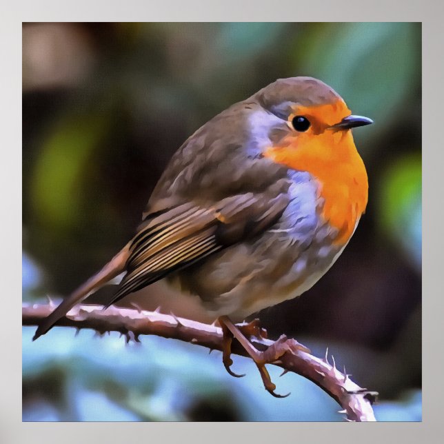 Klumpen Robin auf einem Zweig der Naturkunst Poster (Vorne)