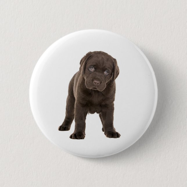 Klumpiger Schokoladen-Labrador-Welpe Button (Vorderseite)