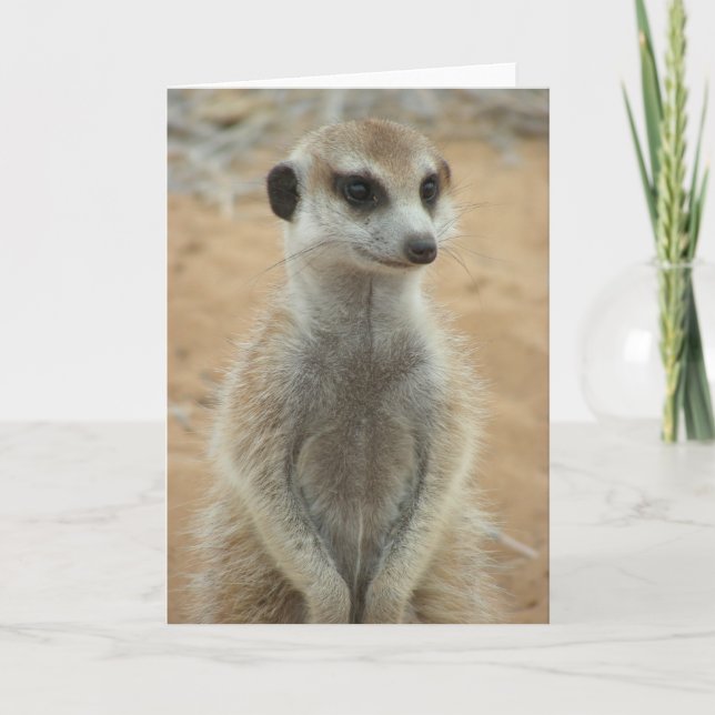 KMP Card 3 - Hemulen Moomins Karte (Vorderseite)