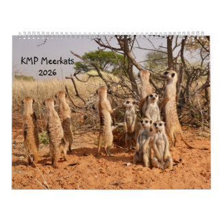 KMP Erdmännchen 2026 Kalender
