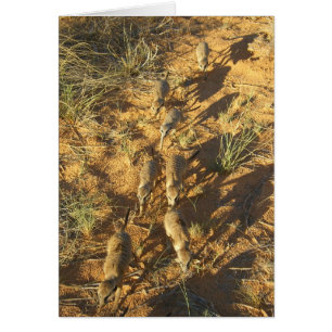 KMP Karte 10 - Moomins Luftlinie