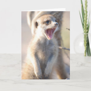 KMP Karte 18 - gähnendes Nugget