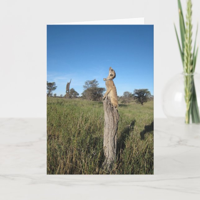 KMP Karte 2 - Monkulus (Vorderseite)