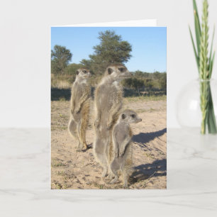 KMP Karte 7 - Azteken