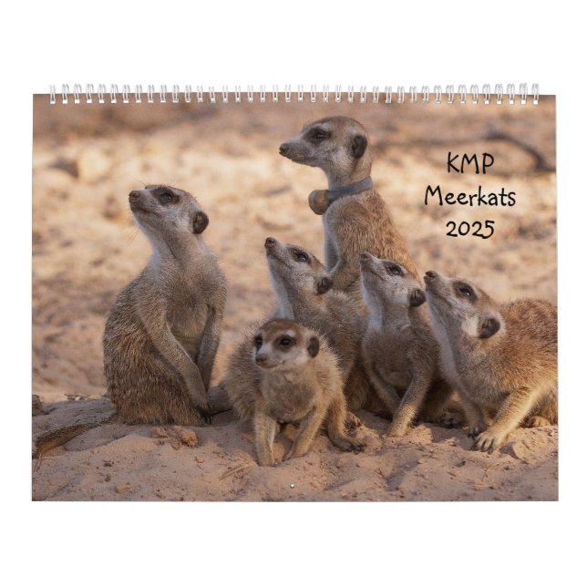 KMP Meerkat 2025 Kalender (Titelbild)