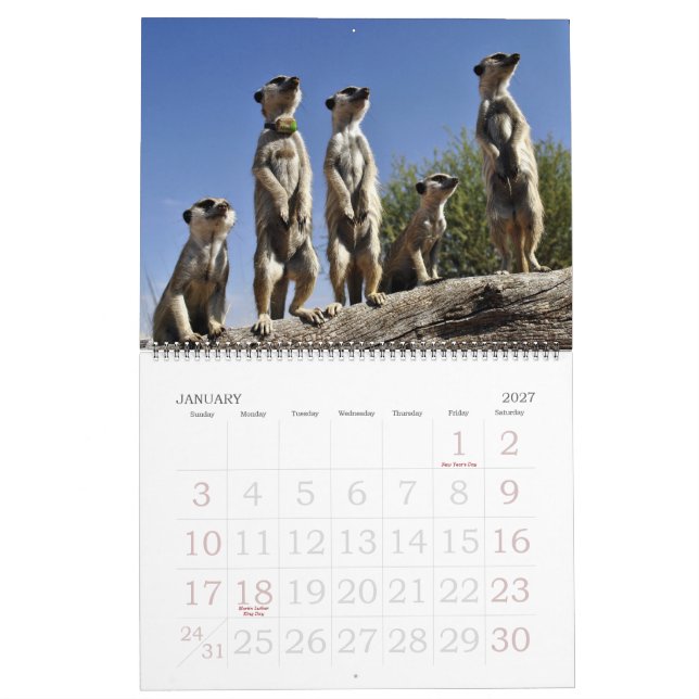 KMP Meerkats 2013 Kalender (Jan 2027)