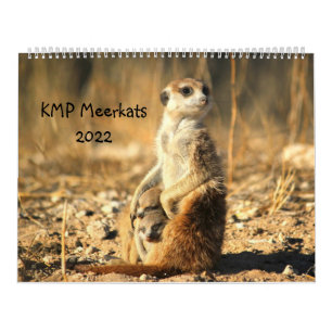 KMP Meerkats 2022 Kalender