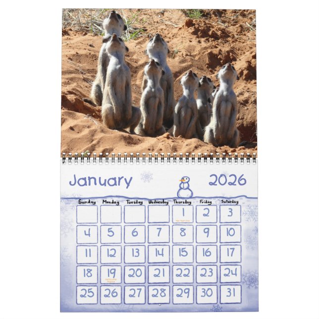 KMP Meerkats Kalender 2011 (Jan 2026)