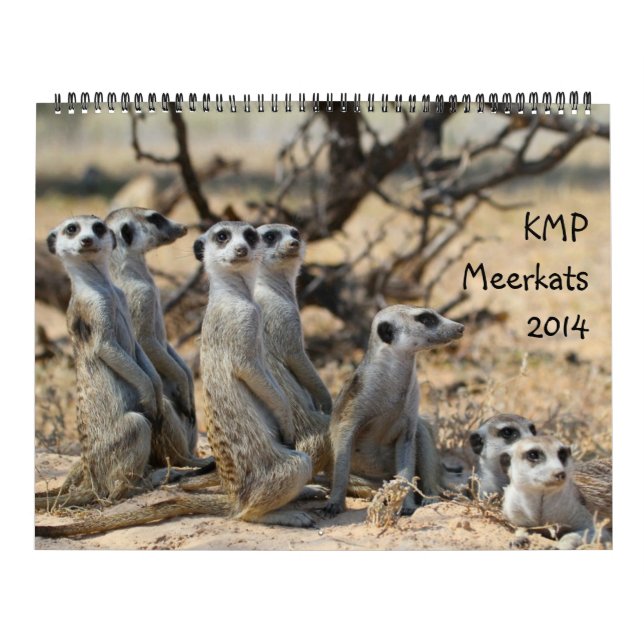 KMP Meerkats - Kalender 2014 (Titelbild)
