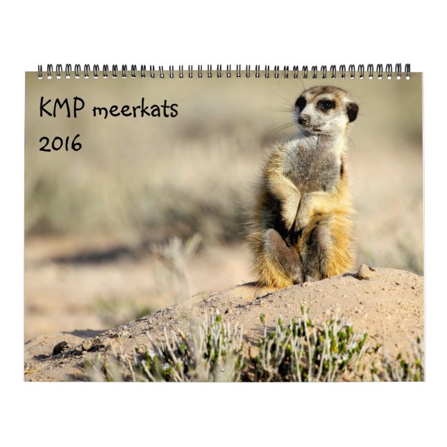 KMP Meerkats - Kalender 2016 (Titelbild)