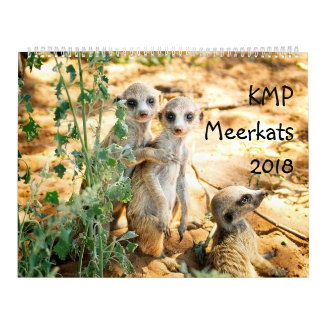 KMP Meerkats - Kalender 2018 (Titelbild)