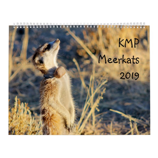 KMP meerkats - Kalender 2019 (Titelbild)