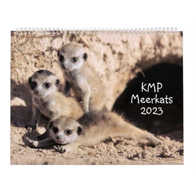 KMP Meerkats Kalender 2023 (Titelbild)