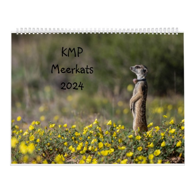 KMP Meerkats Kalender 2024 (Titelbild)
