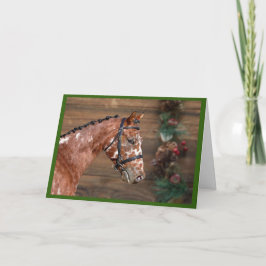 Knabstrupper - Weihnachtskarte für das Pferd Dankeskarte