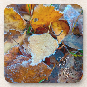 Knackiger Herbstfrost Gefallene Blätter Botanisch Getränkeuntersetzer