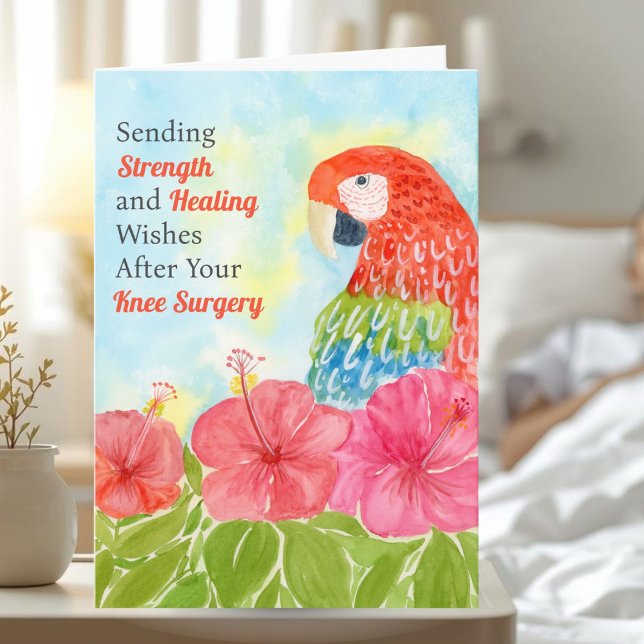 Knee Surgery Healing with Scarlet Macaws, Hibiscus Karte (Von Creator hochgeladen)